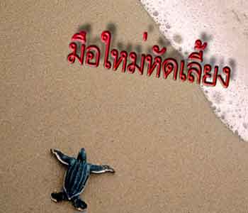 นักเลี้ยงมือใหม่
