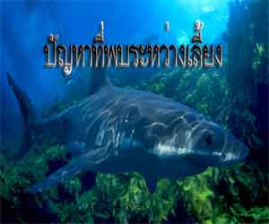 ปัญหาที่พบส่วนใหญ่