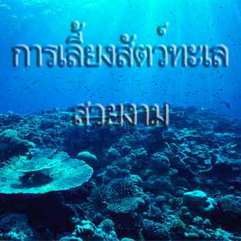 การเลี้ยงสัตว์ทะเล